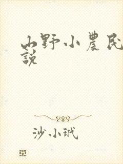 山野小农民 小说