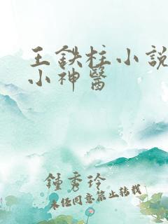 王铁柱小说乡村小神医