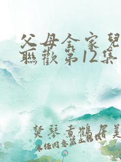 父母全家儿女大联欢第12集