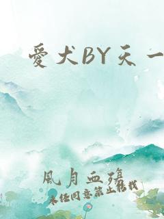 爱犬BY天一