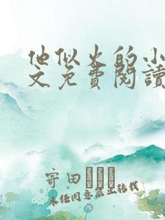 他似火的小说全文免费阅读无弹窗