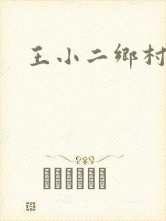 王小二乡村野事