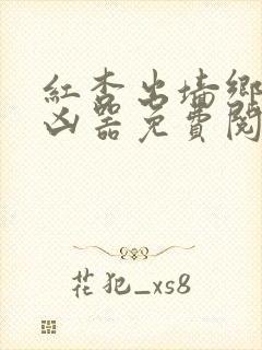 红杏出墙乡村大凶器免费阅读