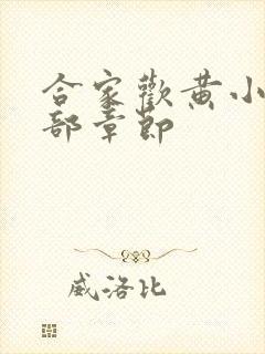 合家欢黄小梅全部章节