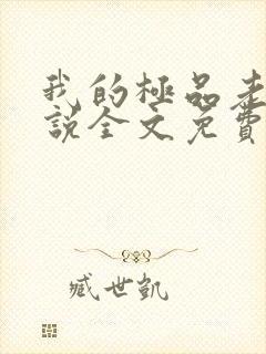 我的极品老婆小说全文免费阅读