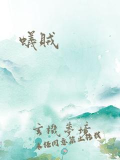 蚁贼