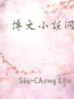 博文小说网