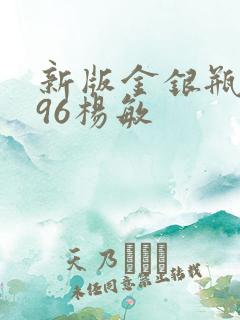 新版金银瓶1996杨敏