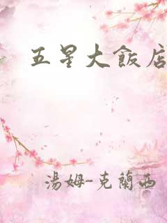 五星大饭店小说