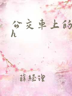 公交车上的插入h