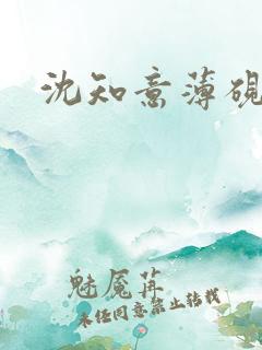 沈知意薄砚霆