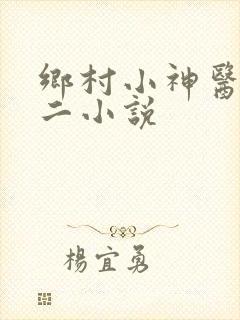 乡村小神医秦不二小说