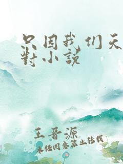 只因我们天生一对小说
