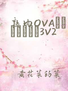 熟肉OVAちゃんはしたい3V2