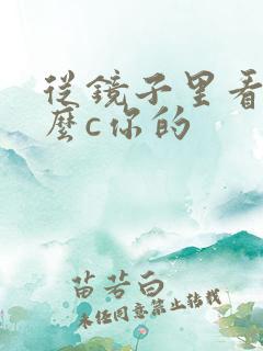从镜子里看我怎么c你的