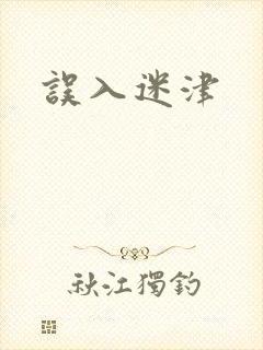 误入迷津