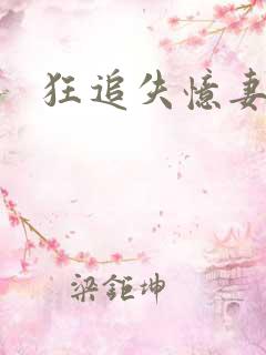 狂追失忆妻