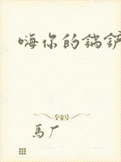 嗨你的锅铲