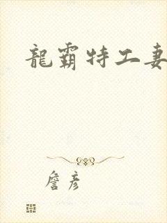 龙霸特工妻