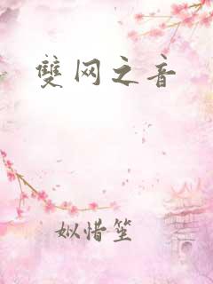 双网之音