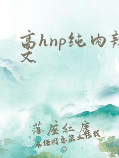 高hnp纯肉辣文