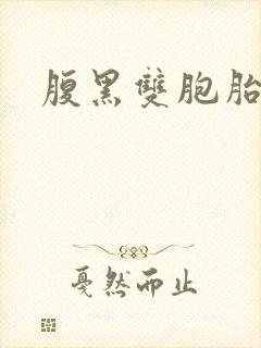 腹黑双胞胎