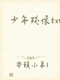少年残像txt