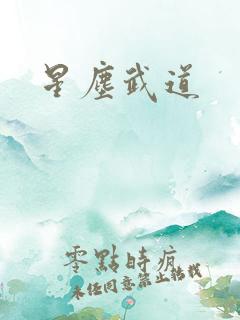 星尘武道