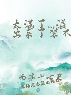 太满了...溢出来了装不下了
