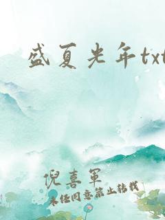 盛夏光年txt