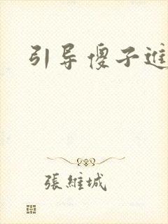 引导傻子进入