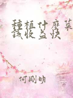 种植什么菜最赚钱收益快