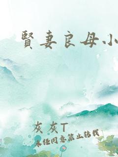 贤妻良母小说