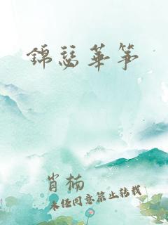 锦瑟华筝