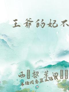 王爷的妃不是妃