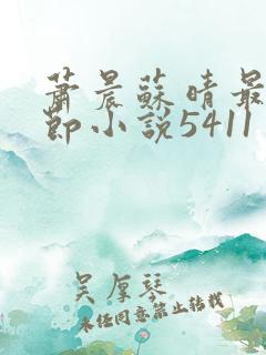 萧晨苏晴最新章节小说5411