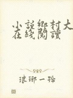 小说乡村大凶器在线阅读