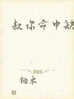 叔你命中缺我