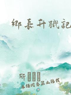 乡长升职记