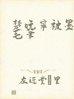 楚晚宁被墨燃塞毛笔