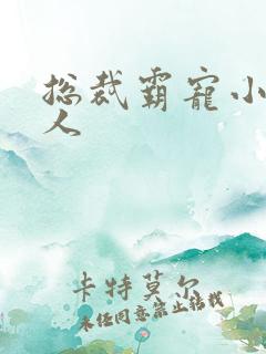总裁霸宠小小女人