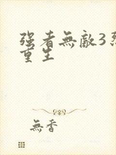 强者无敌3烈火重生