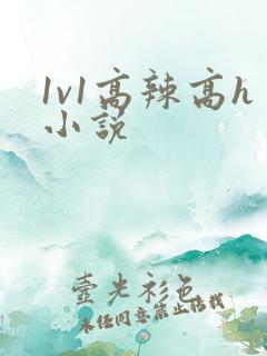 1v1高辣高h小说