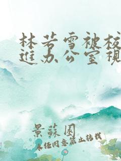 林若雪被校长抱进办公室视频