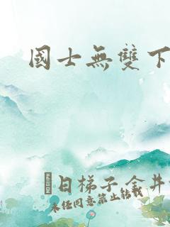 国士无双下载