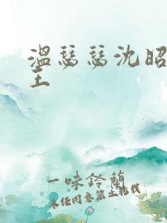 温瑟瑟沈昭摄政王
