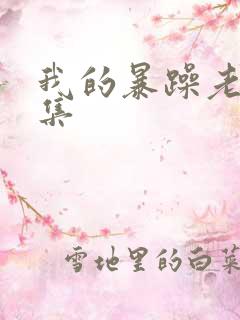 我的暴躁老妈全集