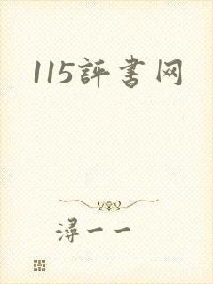 115评书网
