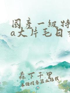 国产一级特黄aa大片毛日本va