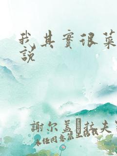 我其实很菜的小说